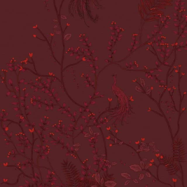 Sodai Turandot Bordeaux