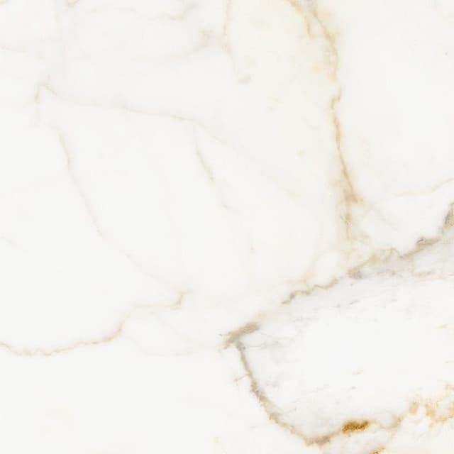 Herberia Select Calacatta Gold