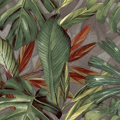 Herberia Vibes Decor Jungle