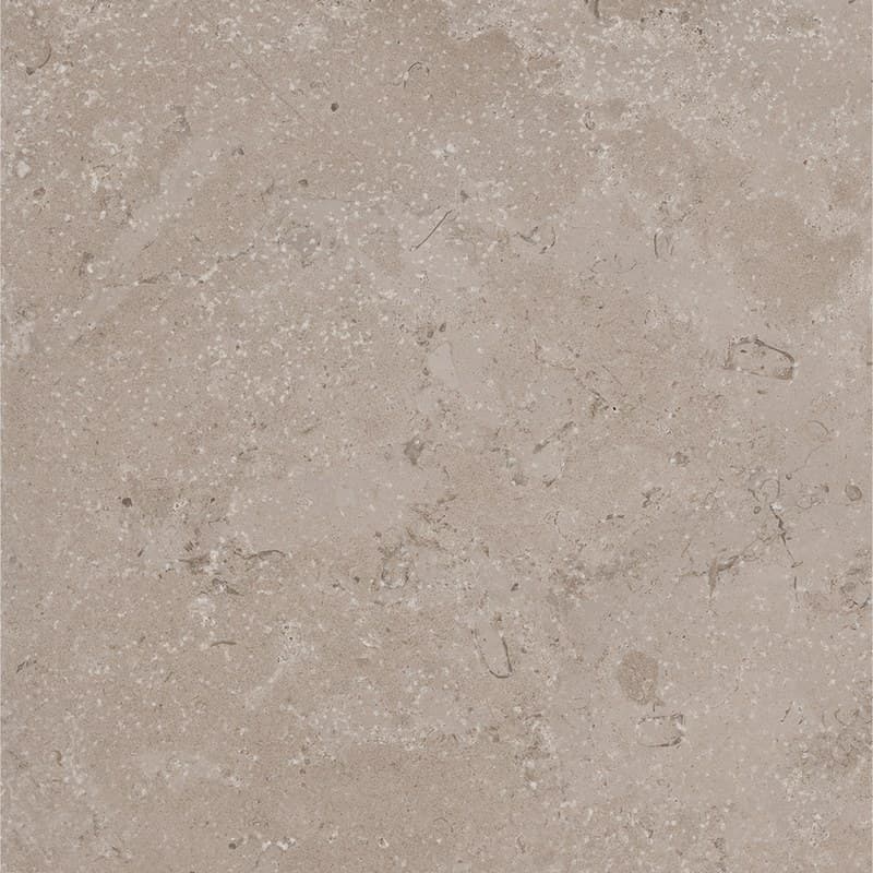 Sintesi Timeless Taupe