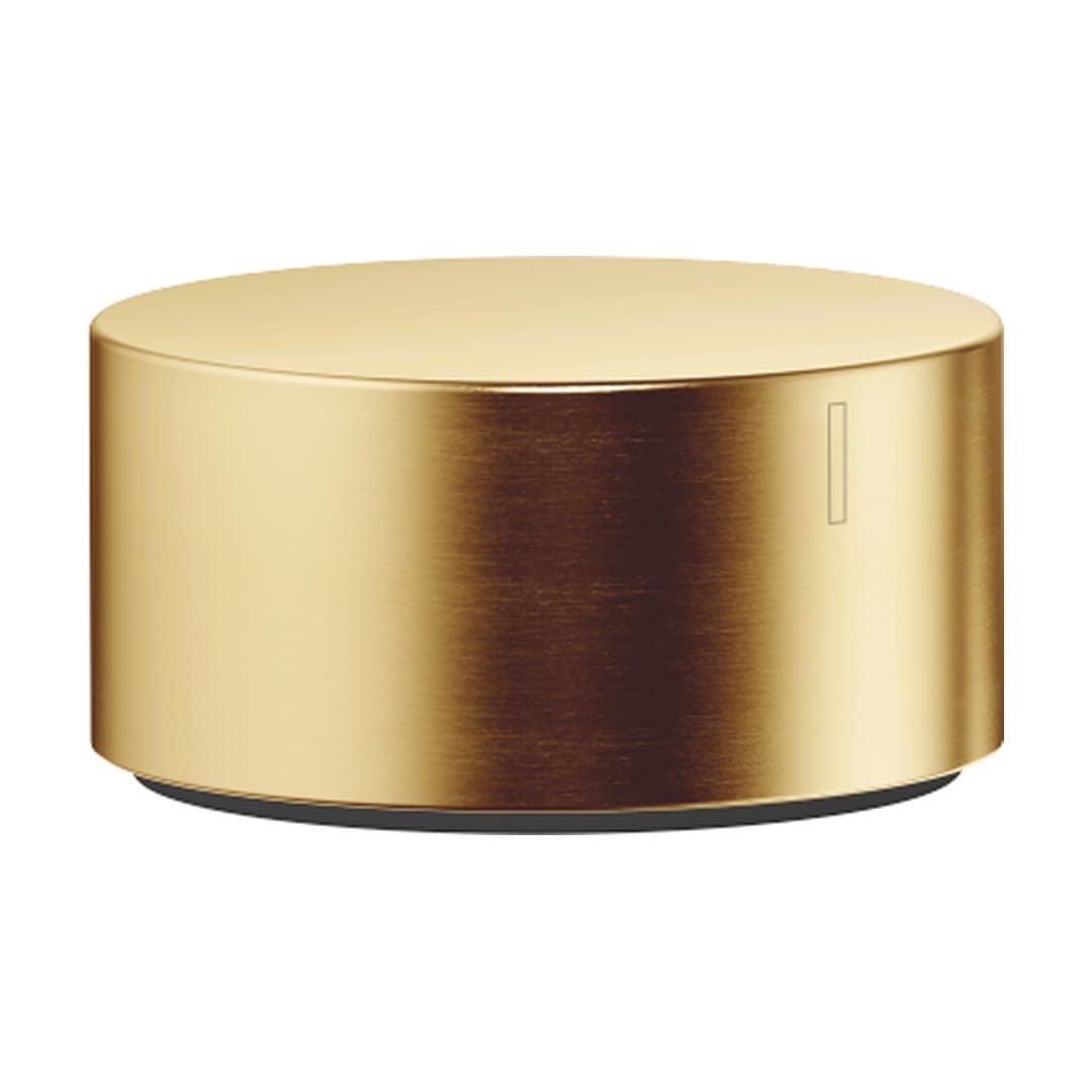 Dornbracht – Διακόπτης Ντους – Deck valve clockwise closing cold – Brushed Durabrass (23kt Gold) (20000740-28)