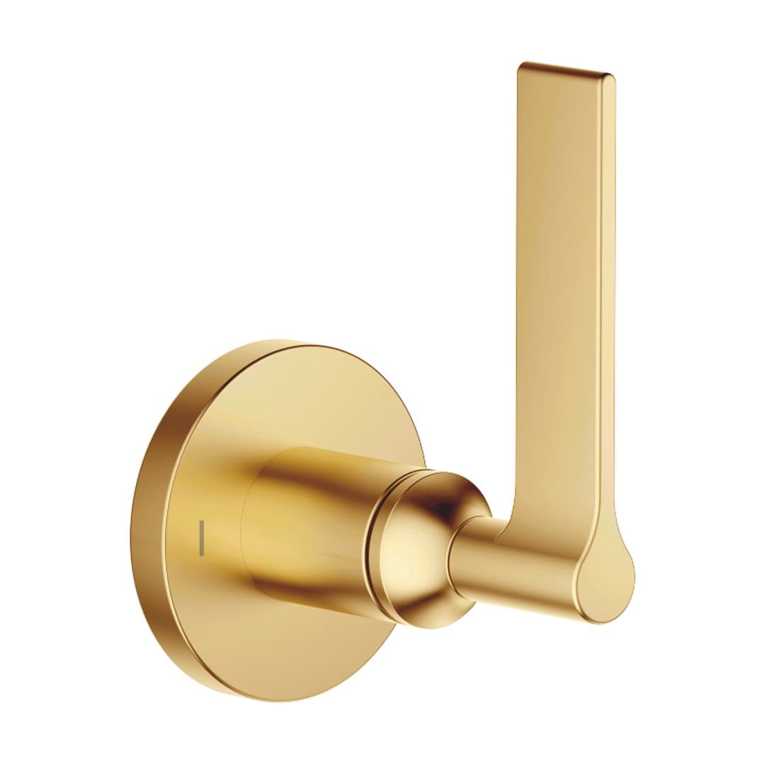 Dornbracht VAIA – Διακόπτης Ντους – Concealed two-way diverter – Brushed Durabrass (23kt Gold) (36200819-28)