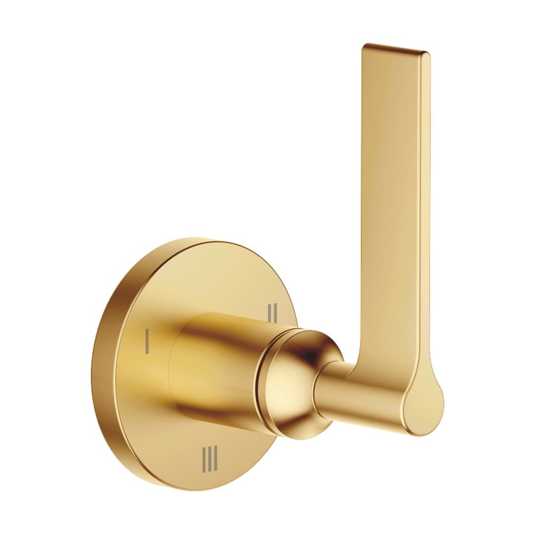 Dornbracht VAIA – Διακόπτης Ντους – Concealed three-way diverter – Brushed Durabrass (23kt Gold) (36210819-28)