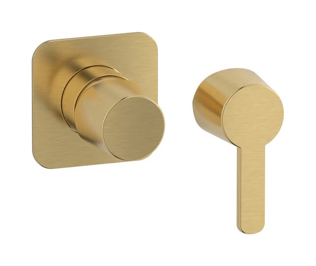 IB Rubinetterie Taaac – Εξωτερικά Μέρη Εντοιχισμού – Brushed Gold (AA300OS)