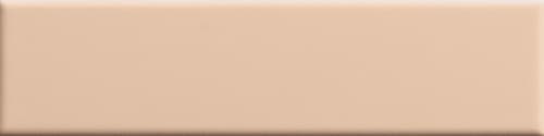 41zero42 Biscuit Plain Powder