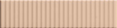 41zero42 Biscuit Strip Powder