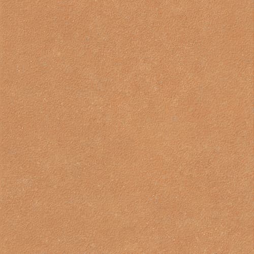 41zero42 Nok Terra Grains