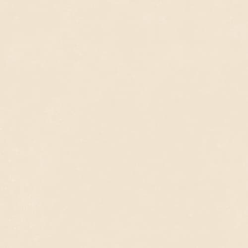 41zero42 Nok Ivory