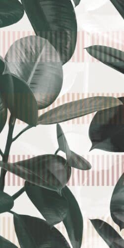 41zero42 Paper41 Pro Olivia