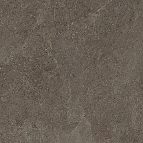 Cerdomus Moonstone Brown
