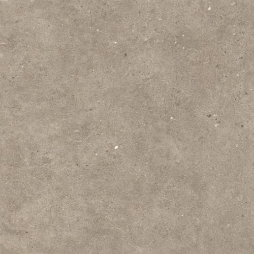 Italgraniti Silver Grain & Ceppo Di Gre Taupe