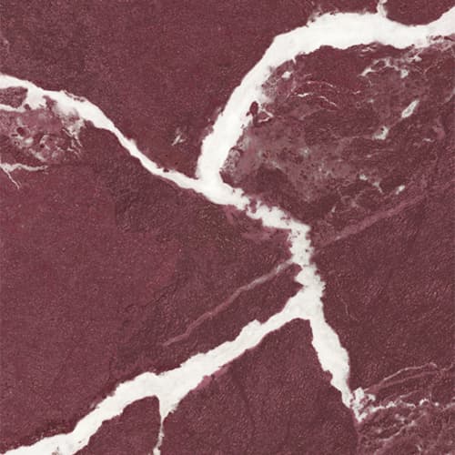 Sodai Majesty Burgundy