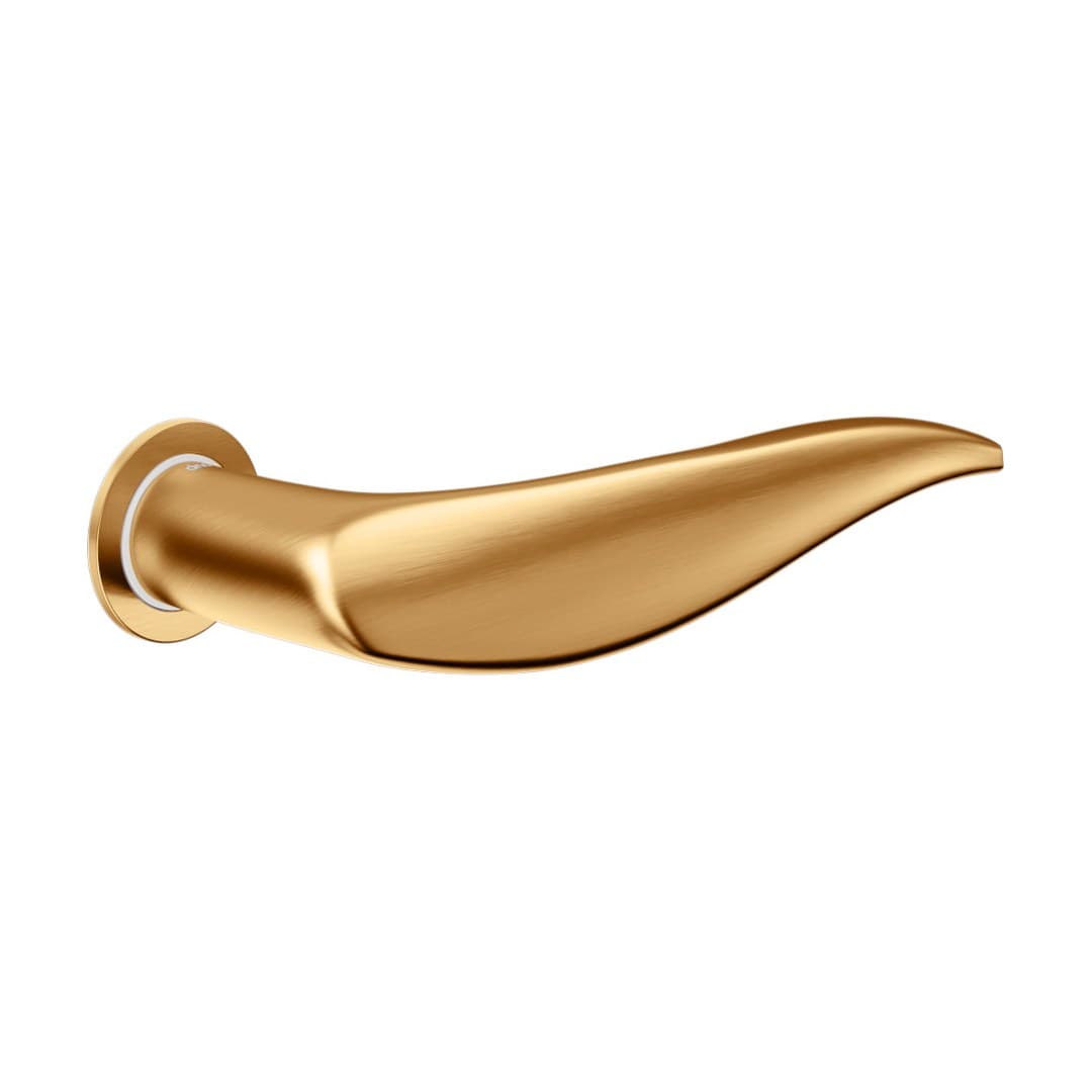 DnD Art – Πόμολο Πόρτας Ροζέτα – Unico Tonda – Antique satin gold (AR80-PVD-SG)