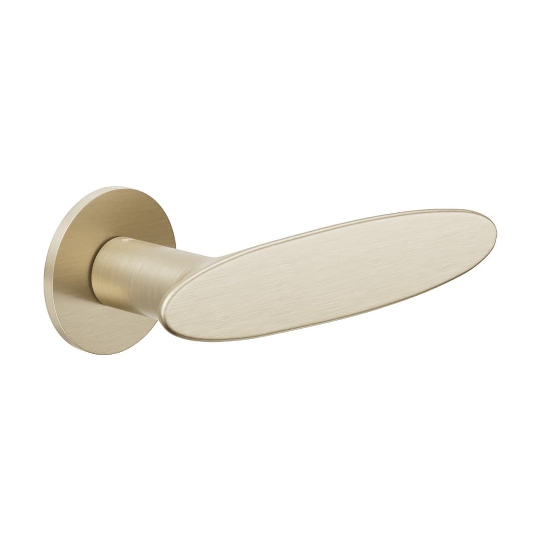DnD Ellipse – Πόμολο Πόρτας Ροζέτα – Fine Tonda – Champagne satin gold (IP40-PVD-SH)