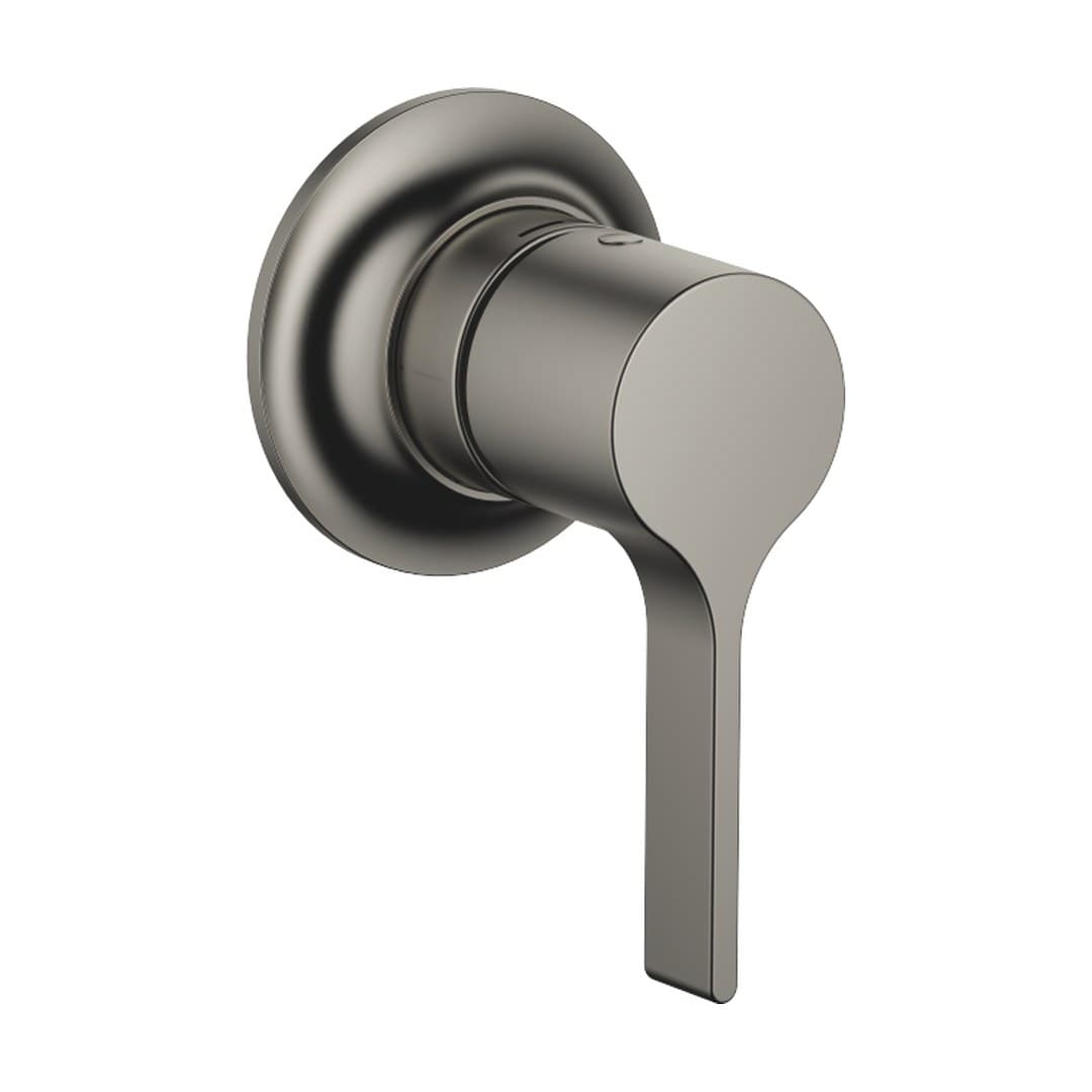 Dornbracht VAIA – Μίκτης Εντοιχισμού – Concealed single-lever mixer with cover plate – Brushed Dark Platinum (36060809-99)
