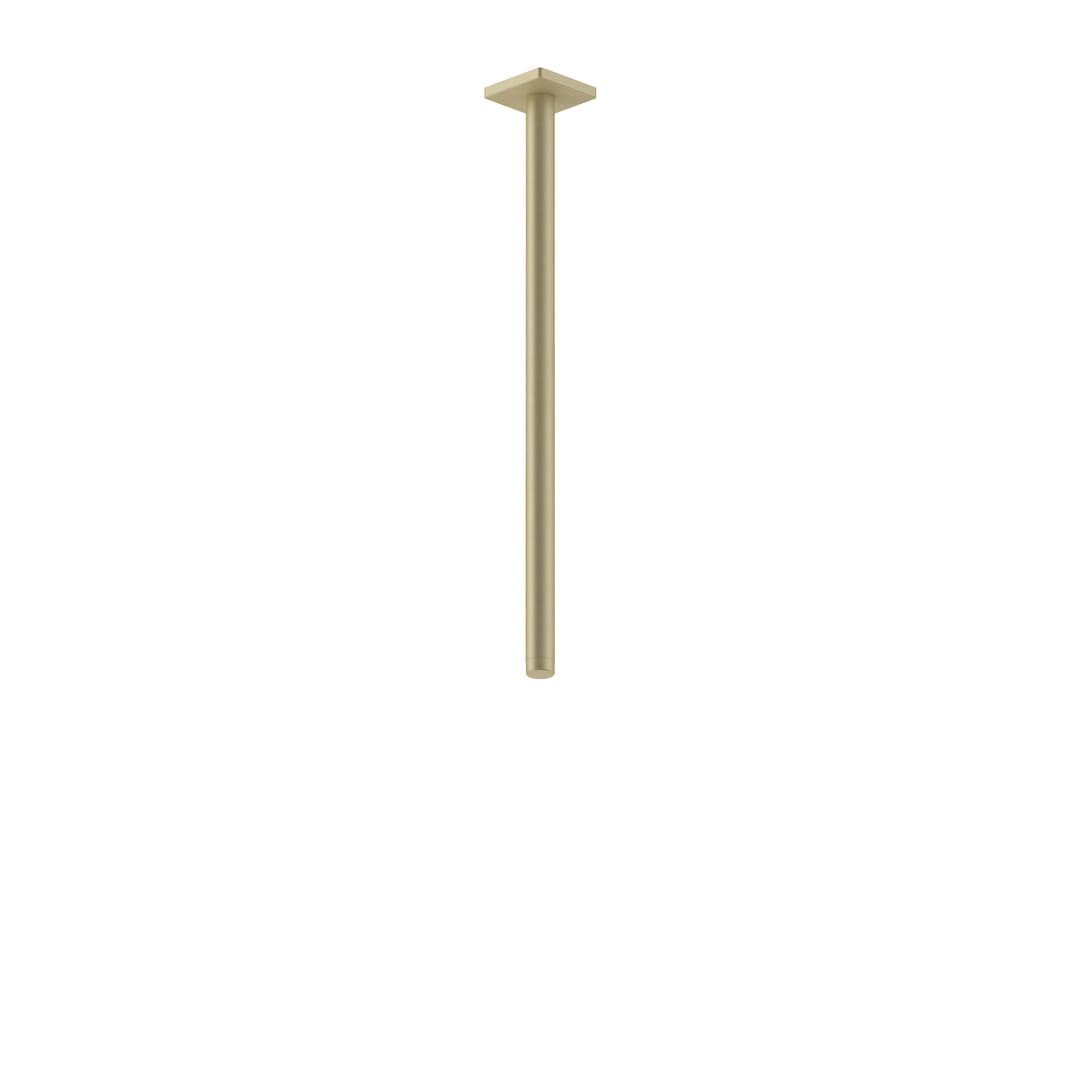 Fantini Mint – Βραχίονας Ντους – Matt British Gold PVD (86P68041)