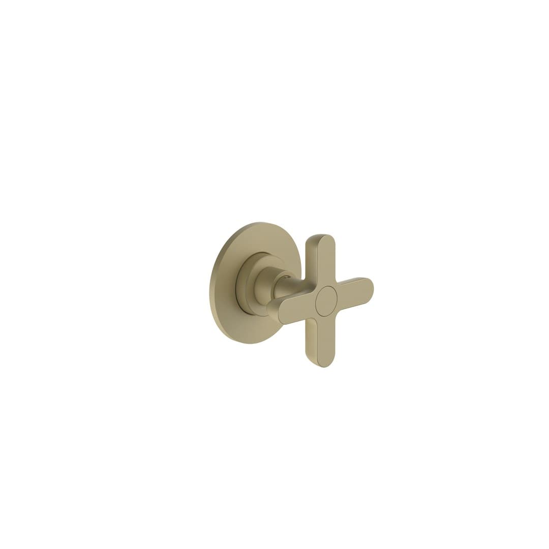 Fantini Icona Classic – Σύστημα Ντους – Matt British Gold PVD (53P6R790B)