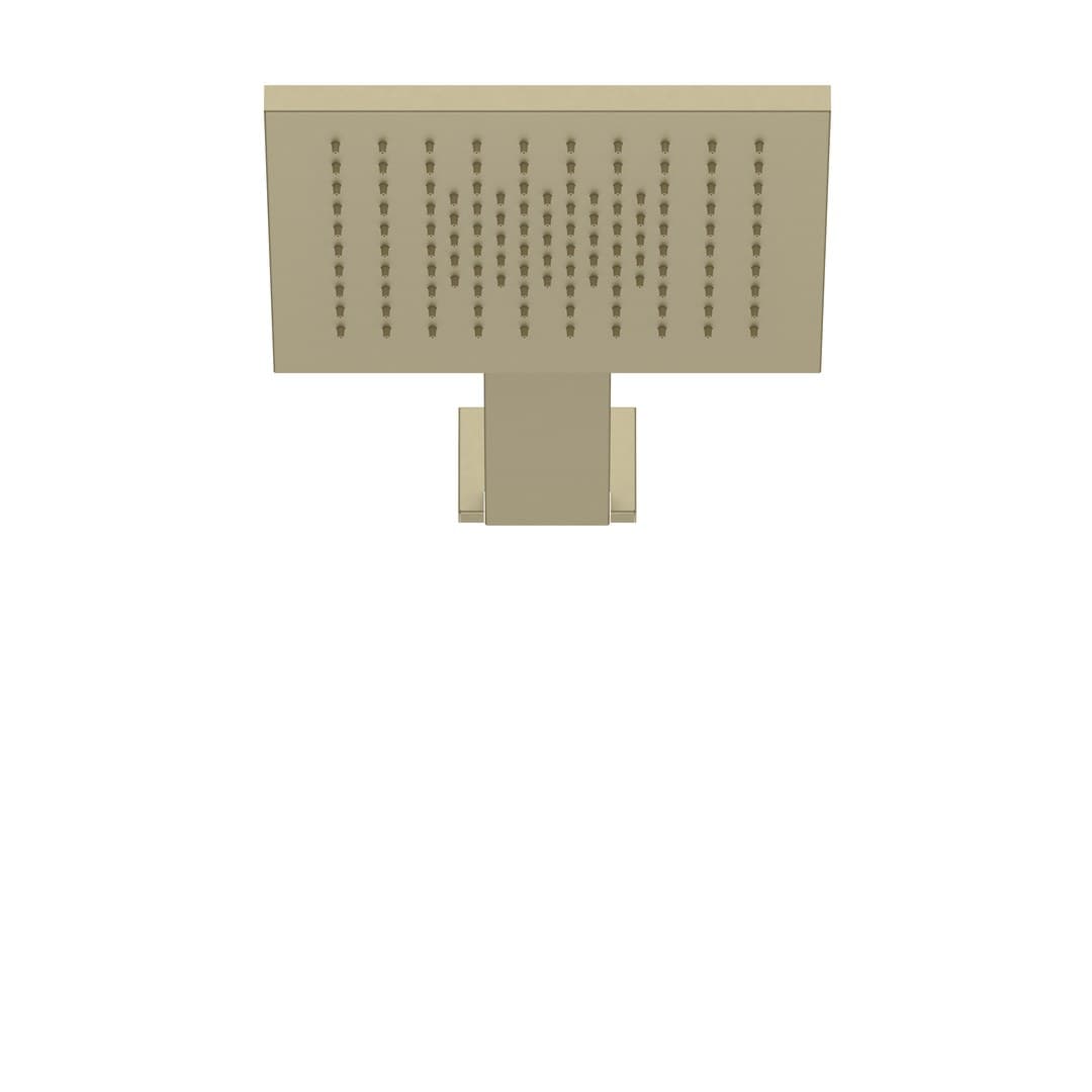 Fantini Acquafit – Κεφαλή Ντους – Matt British Gold PVD (79P6K041B7900K031A)